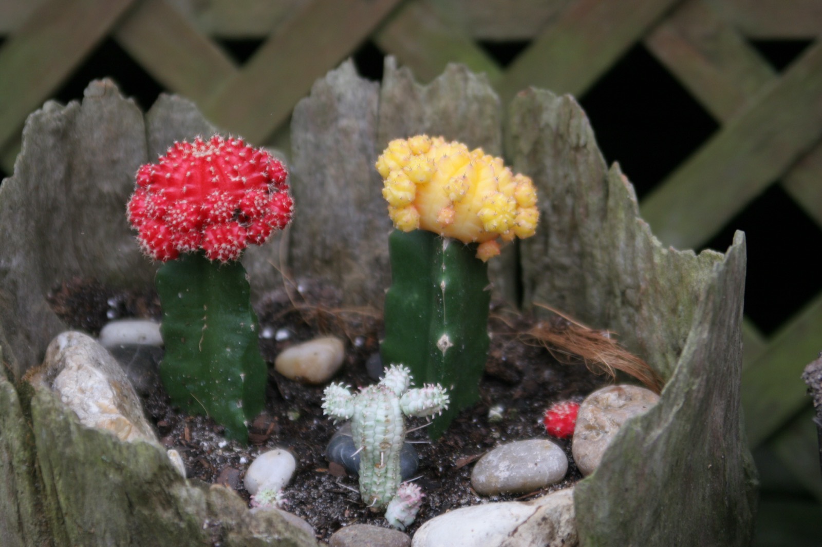Okatoma Outdoor Post