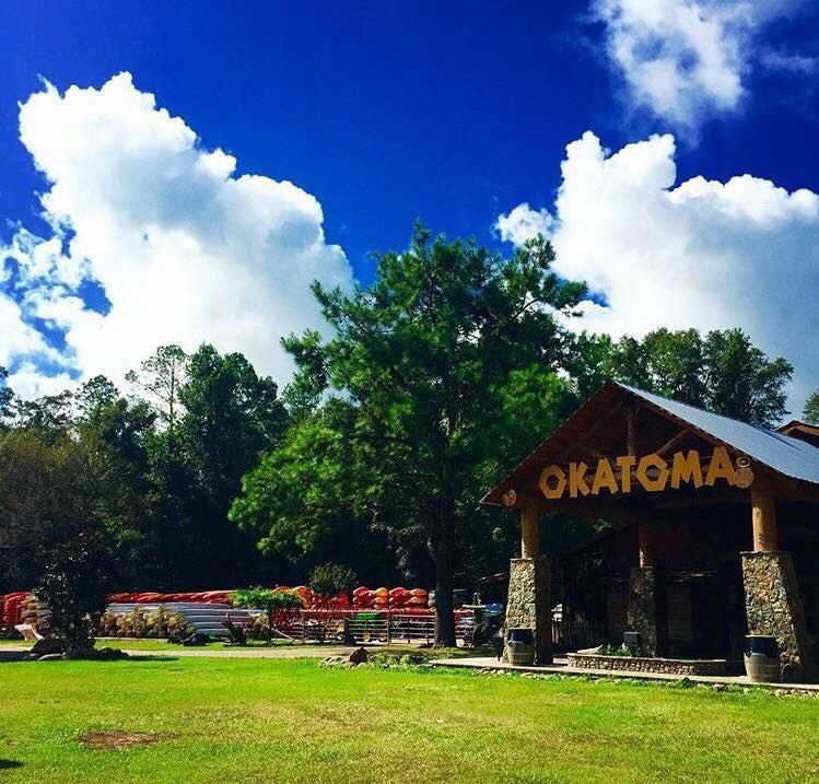 Okatoma Creek canoes