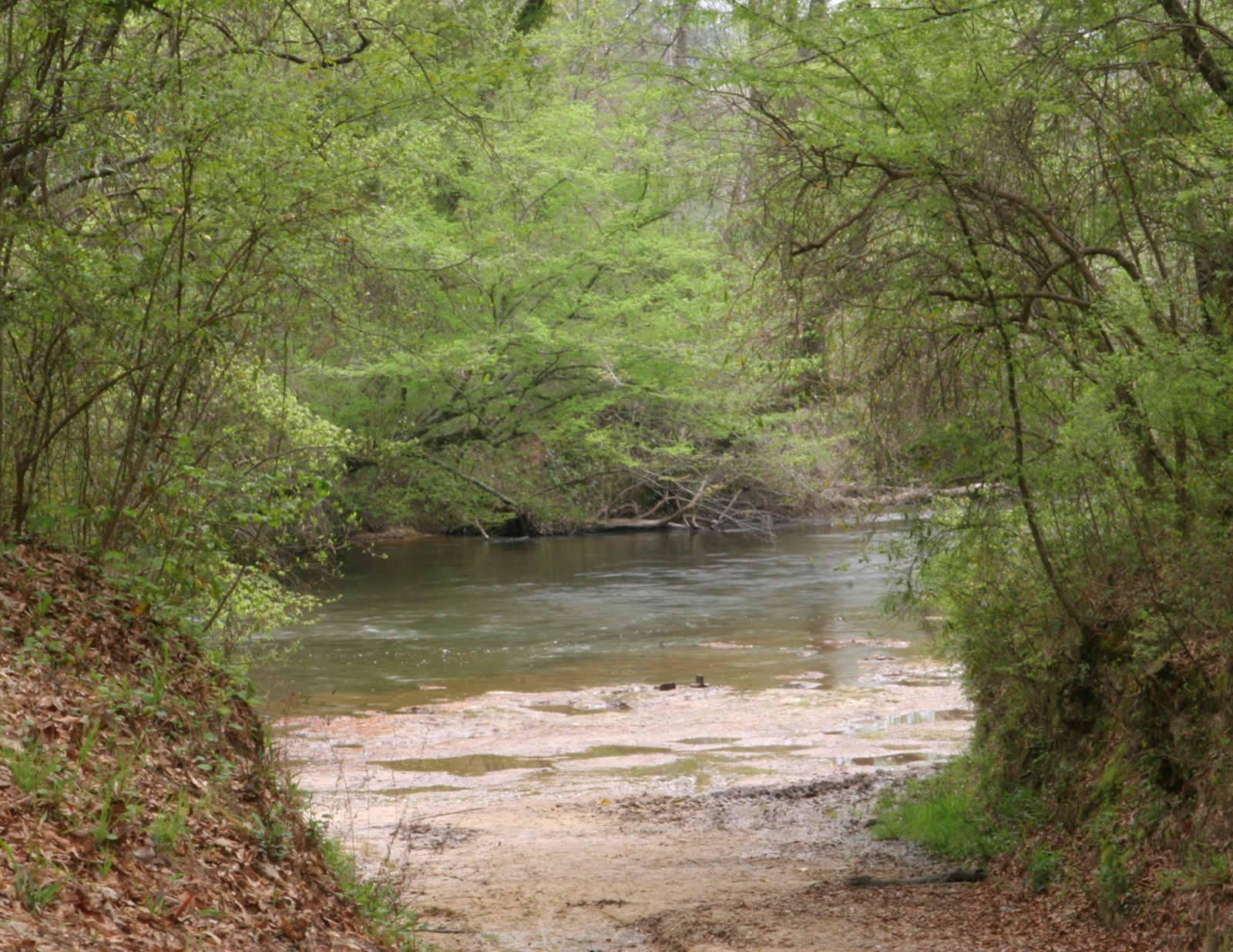 Okatoma Creek