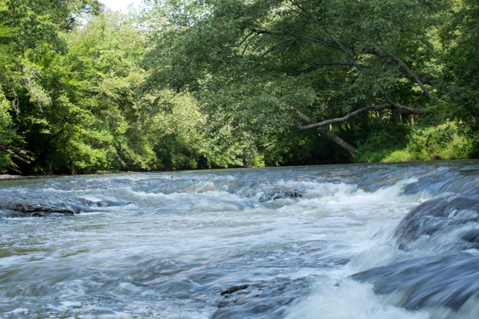 Okatoma Creek