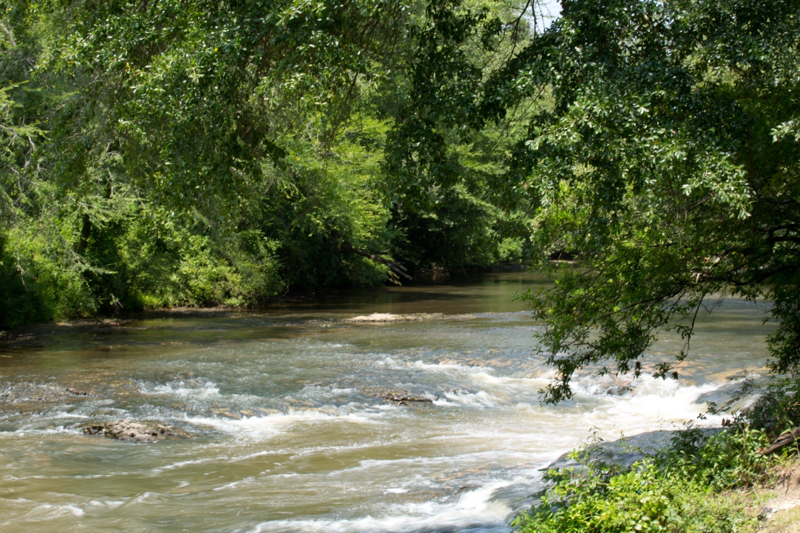 Okatoma Creek